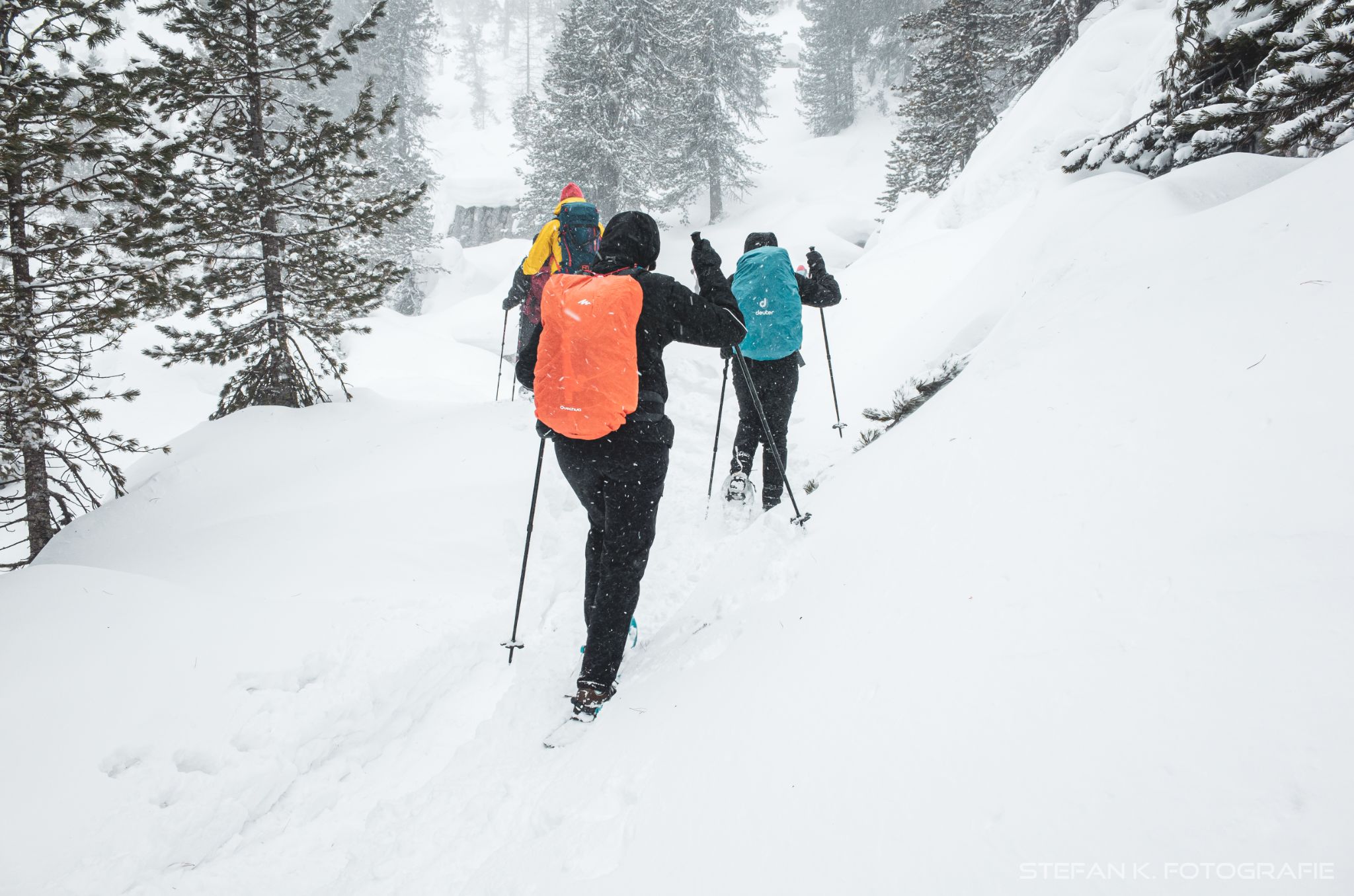 Schneeschuhwanderer im Wald